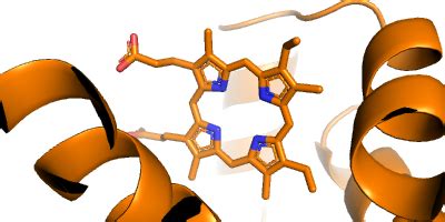 Image result for Haemoglobin PyMOL