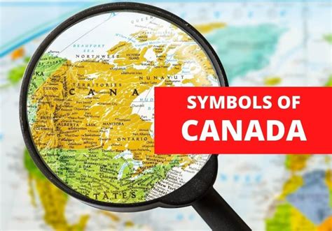 A Complete List of Canadian Symbols From Maple Leaf to Beaver - Symbol Sage