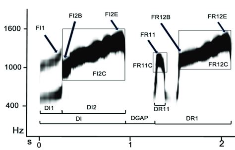Reading Sound Spectrogram 的图像结果