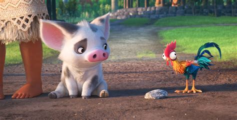 Pua and Heihei, Moana's pet pig and rooster chicken | 돼지