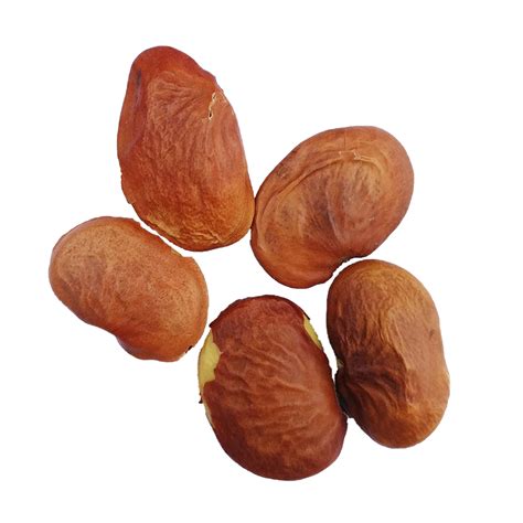 Neem, Karanj & Lemon Herbal Shampoo - Ban Labs Pvt Ltd