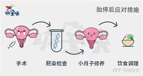 两次胎停后选择做第三代试管婴儿成功怀上龙凤胎-莱婴健康