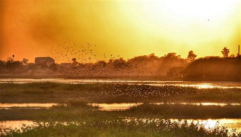 SIRPUR LAKE (2026) All You Need to Know BEFORE You Go (with Photos ...