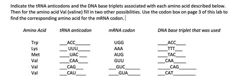 Codon 的图像结果