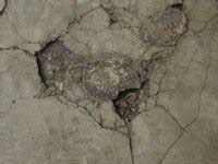 Image result for Texturing Basic