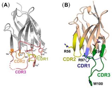 Nanobodies that Neutralize HIV