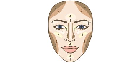 Image result for Contour Face Map