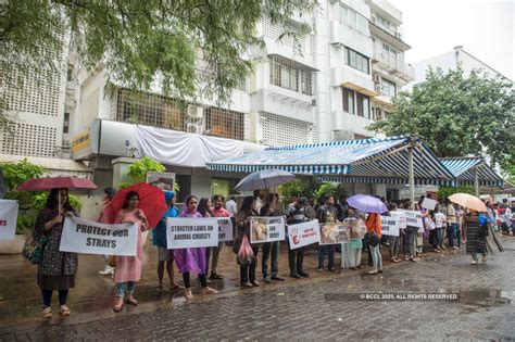 Animal rights activists protest over gruesome dog beating- The Etimes ...