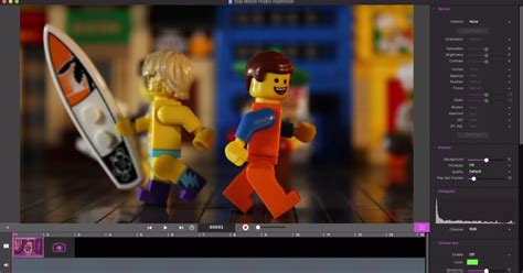 Image result for Using Stop Motion Pro On a PC