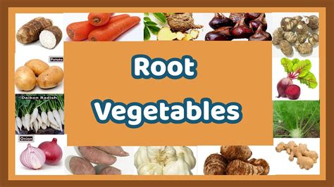Root.food Names 的图像结果