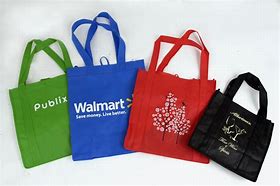 Image result for Shopping Bags