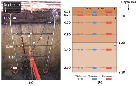 Time-Lapse Seismic and Electrical Monitoring of the Vadose Zone during ...