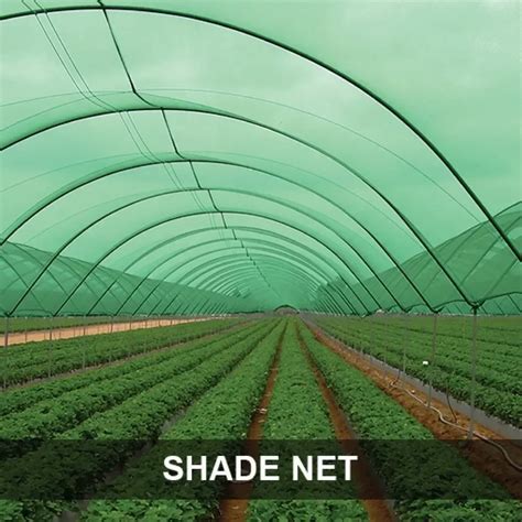 Image result for Shade Net