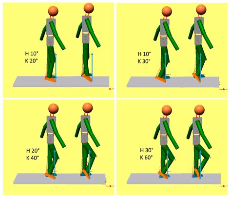 Testing Every Step: Degrees Of Knee Flexion During Normal Gait