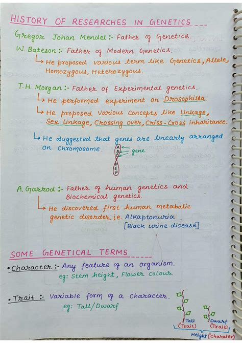 Principle of Inheritance Class 12 One Shot 的图像结果