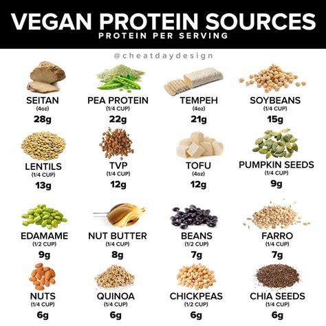 Top Sources of Vegan Protein - Shalom Adventure Magazine