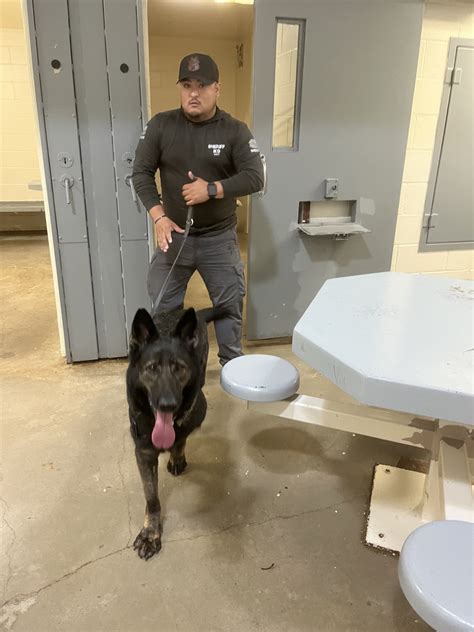 On Tuesday, March 13,... - Cameron County Sheriff's Office