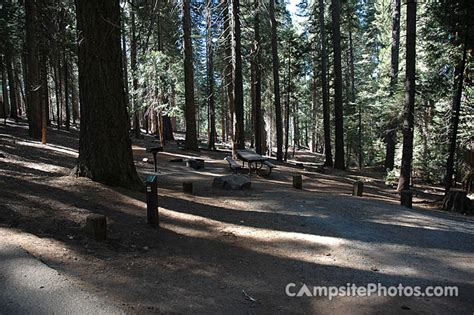 Image result for Stumpy Meadows Map