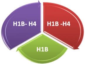 H4 Visa Stamping Slots In Hyderabad