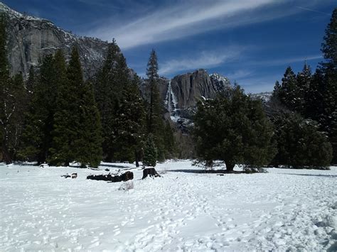 Naturetastic Blog: Yosemite National Park (March Cellphone Shots)