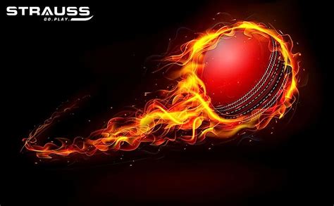 Strauss Cricket Leather Ball, 4 Piece, (Pack of 1) – StraussSport