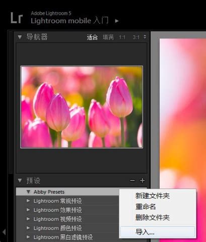Lightroom官方下载_Adobe Photoshop Lightroom破解版免费下载-华军软件园