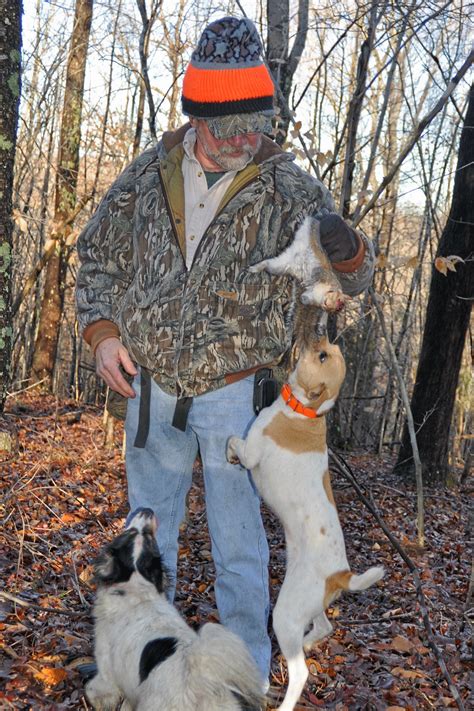 North Carolina’s public lands provide hunters access to every wild-game ...