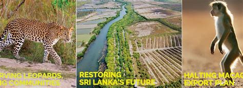 Protection of Ecosystem 的图像结果