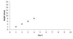 Extrapolation - Interpolation and Extrapolation, Business Mathematics ...