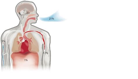 Image result for AO2 O2 Cell Uses