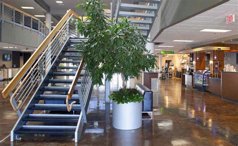 Image result for NewSpring Project