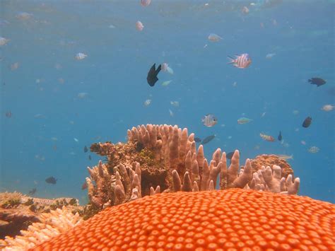 KARIMUNJAWA PACKAGE (2026) All You Need to Know BEFORE You Go (with ...