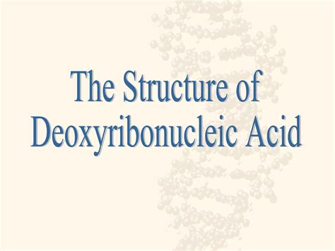 Image result for DNA Tutorial