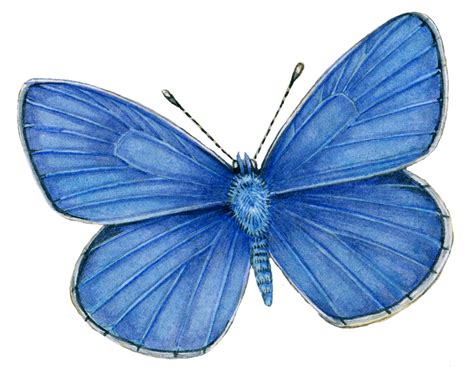 Image result for Common Core Grade 3 Math