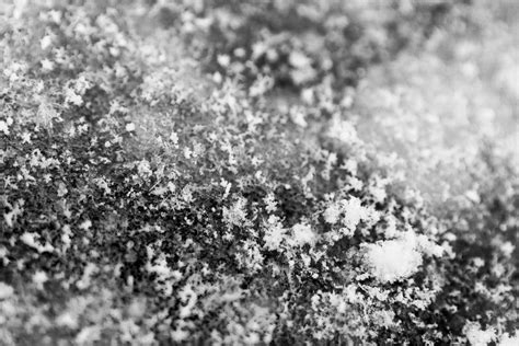 Snowstorm Time-lapse 的图像结果