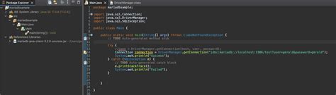 MariaDB with Java 的图像结果