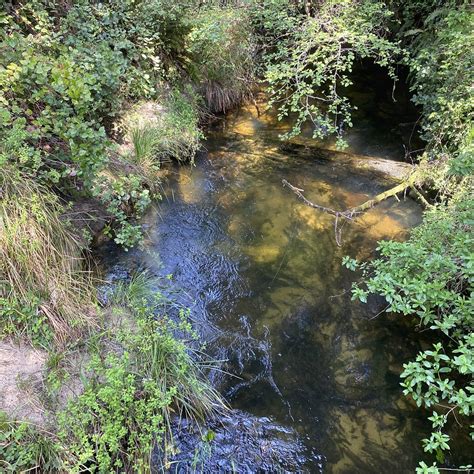 Eel Creek | Image taken at William M. Tugman State Park, Lak… | Flickr