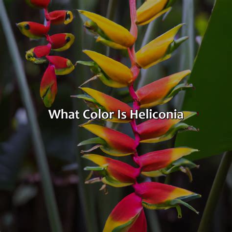 What Color Are Your Veins - colorscombo.com
