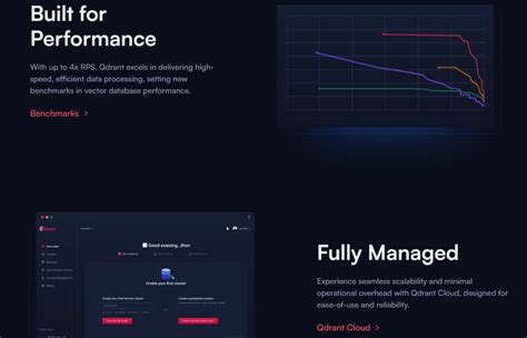 Image result for Using Qdrant Console