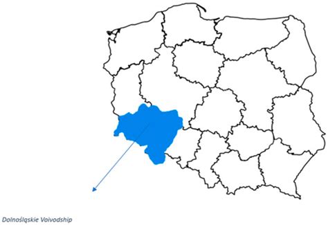 The Role of Local Government in the Bottom-Up Energy Transformation of ...