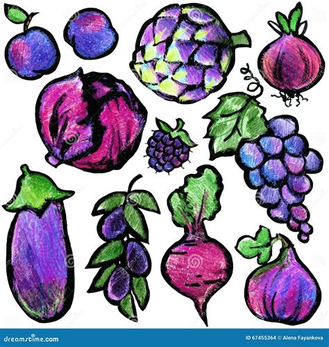 Purple Fruits and Vegetables. Watercolor Hand Drawn Fruits and ...