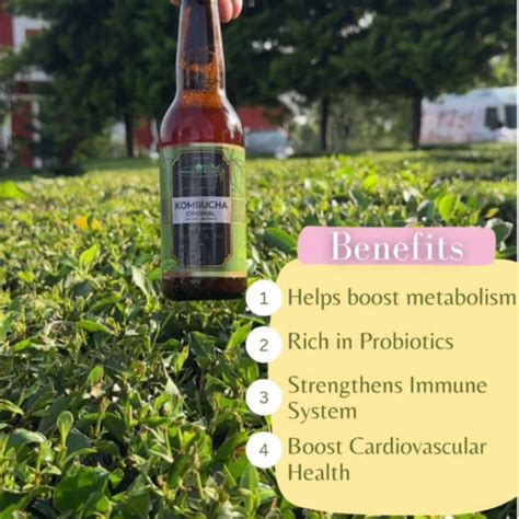 Himalayan Brew Teas & Blends Online Store