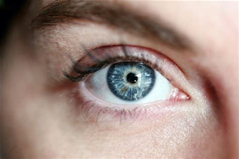 右眼皮一直跳是怎么回事 眼皮跳的吉凶预兆是真的吗|眼皮|预兆|吉凶_新浪新闻