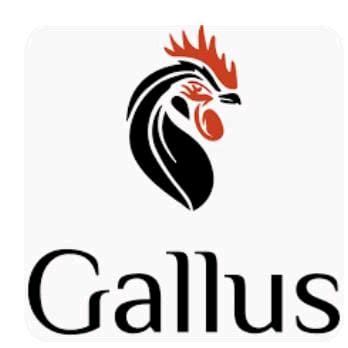 Innovaneers Technologies