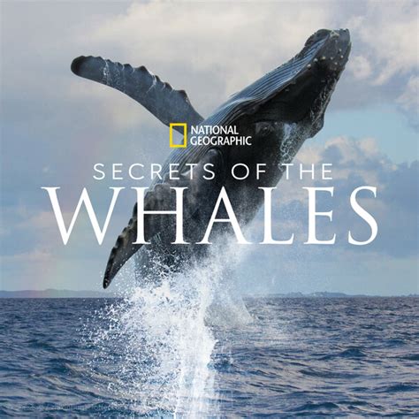 鲸鱼的秘密 纪录片 原声音乐 2021 - Raphaelle Thibaut,鲸鱼的秘密 纪录片 原声音乐 2021在线试听,纯音乐,MP3 ...