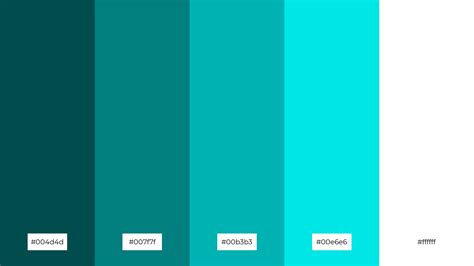 The Best 15 Teal Color Palette Combinations