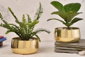Elemntl Metal Planter Pot for Indoor Plants & Flowers (Electroplated ...