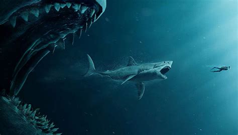 比“巨齿鲨”更惊悚的，是人类一边探索，一边毁灭|鲨鱼|巨齿鲨|巨齿_新浪新闻