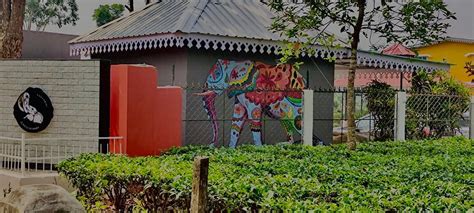 KADAMBINI JUNGLE RESORT (Jhar Mitiali) - Resort Reviews, Photos, Rate ...