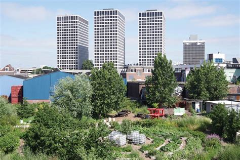 Sportsfield within Forest 的图像结果